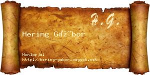 Hering Gábor névjegykártya